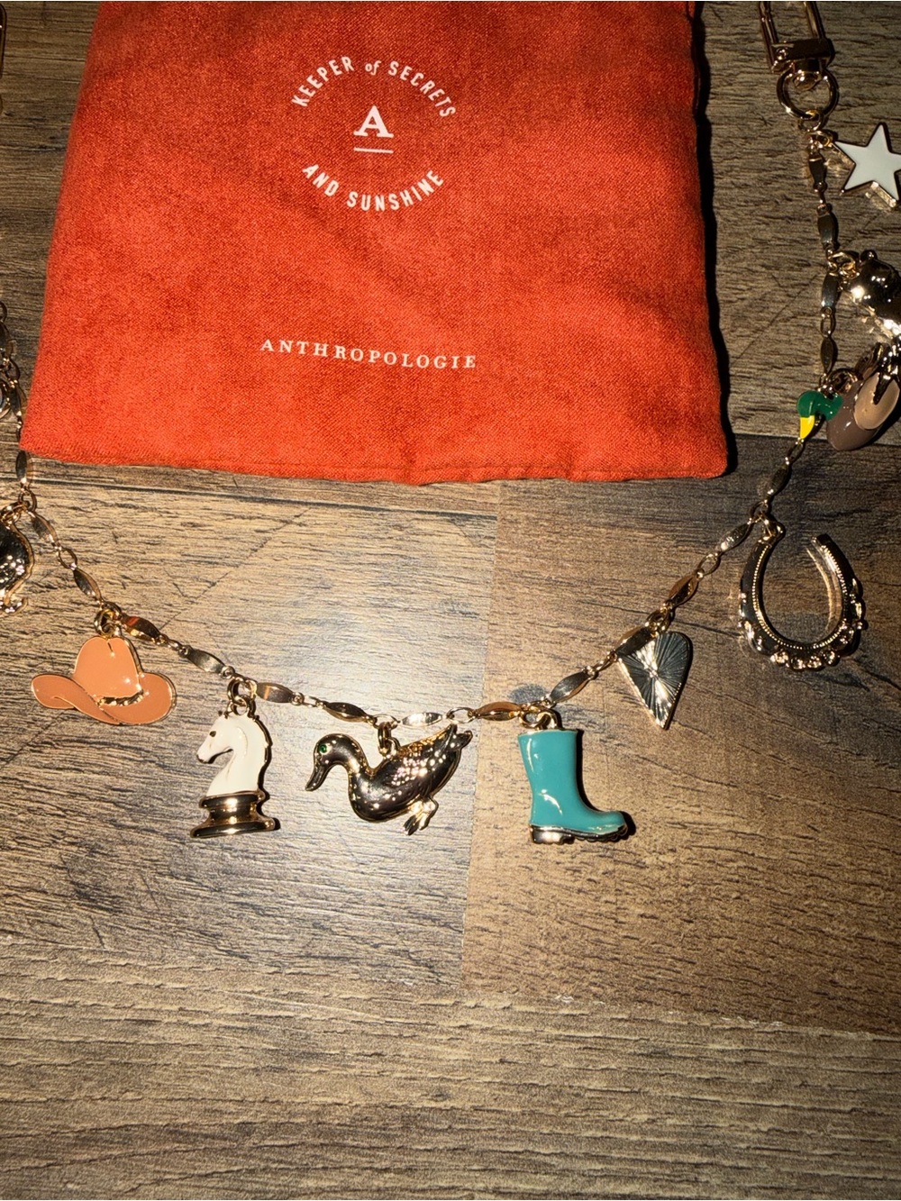 Anthropologie Bag Charm - Picture 3 of 4
